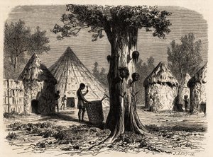 The tree of war, in a village Djour, Bahr-el-Gazal region, Sudan, drawing by Karl Girardet to illustrate the journey to the river of the gazelles of A. Bolognesi, in 1856-1857. Engraving in 