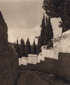 Jerusalem, Garden of Gethsemane by Karl Grober