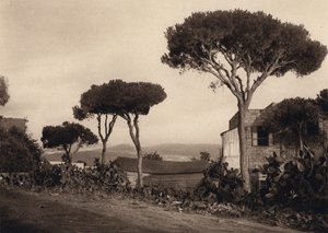 Lebanon, Landscape