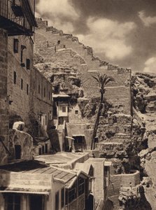 Mar Saba, Palm of St Sabas by Karl Grober