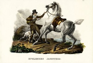 English Hunter Horse by Karl Joseph Brodtmann