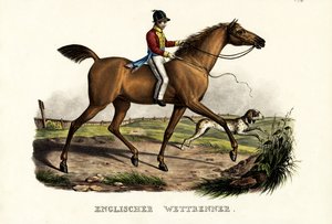 English Racer Horse by Karl Joseph Brodtmann