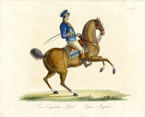 The English Horse by Karl Joseph Brodtmann