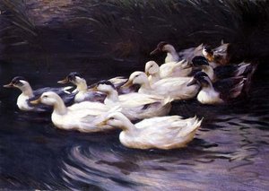 Ducks