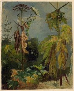 Hemlock Study