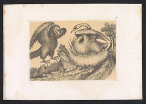 Swan and Eagle (Designs and Studies of a Dutch Master from the 15th Century. After the Originals Preserved in the Royal Library in Berlin)