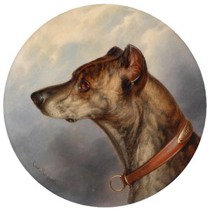 Dog Portrait