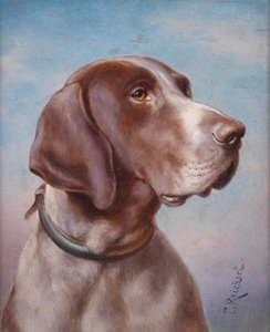 Dog Portrait