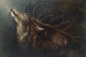 Dying Deer