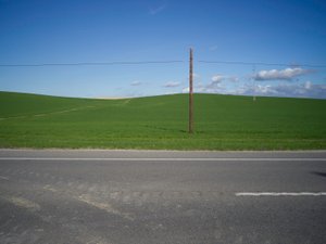 Isolated 2020 by Katha Wood