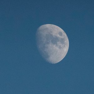 Look At The Moon, 2021