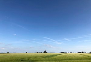 Summer Crop 2018