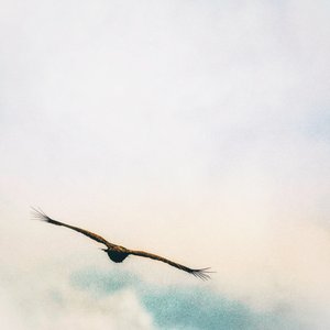 Up In The Clouds