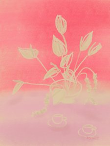 Raspberry Dream