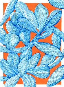 Vibrant Botanical Pop by Katie O'Shea