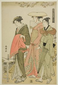 Flowers, from the series 