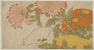 Chrysanthemums by Katsukawa Shunsho