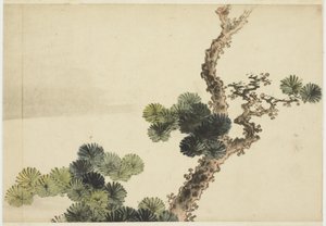 Pine Bough by Katsushika (school of) Hokusai