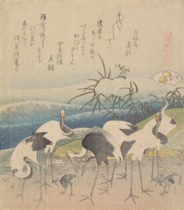 Ashi Clam, from the Series Genroku Kasen Kai-awase by Katsushika Hokusai
