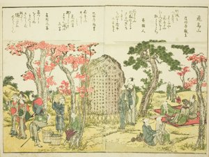 Asuka Hill, from vol. 1 of the illustrated book "Fine Views of the Eastern Capital at a Glance"