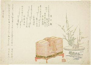 Bird Cage and Potted Plum