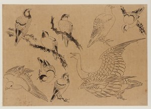 Birds by Katsushika Hokusai