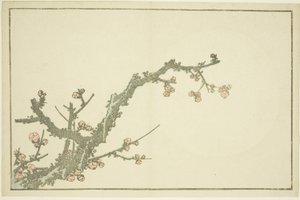 Blooming Plum Tree, from The Picture Book of Realistic Paintings of Hokusai by Katsushika Hokusai