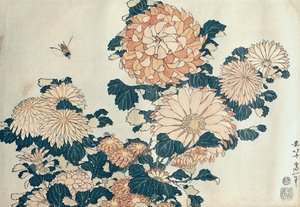 Chrysanthemums