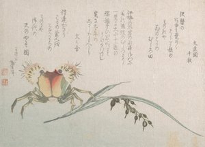 Crab and Rice Plant, 19th century by Katsushika Hokusai