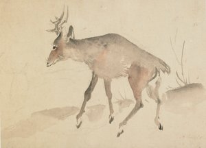 Deer by Katsushika Hokusai