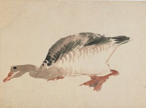 Goose, late 18th-early 19th century by Katsushika Hokusai