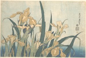 Grasshopper and Iris by Katsushika Hokusai