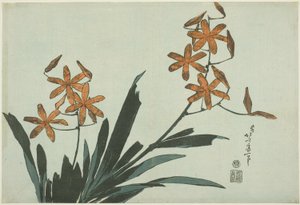 Orange Orchids, from an Untitled Series of Flowers by Katsushika Hokusai