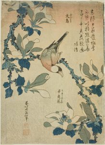 Paddy Bird and Magnolia Flowers, from an untitled series of flowers and birds