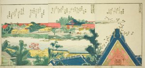 Pages from the Illustrated Book 