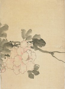 Peony, late 18th-early 19th century by Katsushika Hokusai