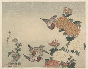 Sparrows and Chrysanthemums