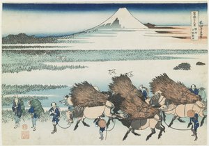 The Paddies of O_no in Suruga Province