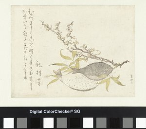 Two Flatfish and Plum