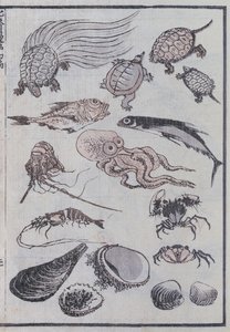Undersea creatures, from a Manga