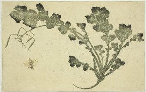 Wasp and Turnip Stalk, from "The Picture Book of Realistic Paintings of Hokusai" by Katsushika Hokusai