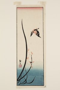 Butterfly and Grass by Katsushika II (fl.1820 50) Taito