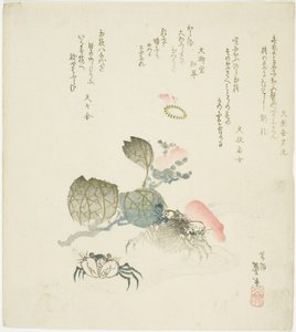 Two Crabs by a Spray of Camellia by Katsushika Taito II