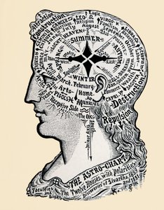 A Chart of the Human Head and Shoulders by Alec Hunter