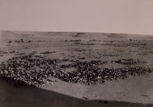 Forward to Brak, Italo-Turkish War, Libya 20th century by Alec Hunter