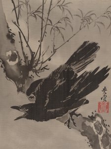 Crow on a Branch