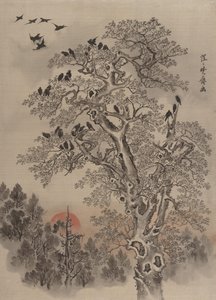 Flock of Crows at Dawn