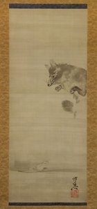 Tanuki Racoon Dog Viewing Its Reflection in Water