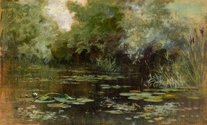 Pond with Lilies