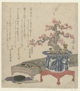 Koto with Plum Blossom in Pot by Keisai Eisen